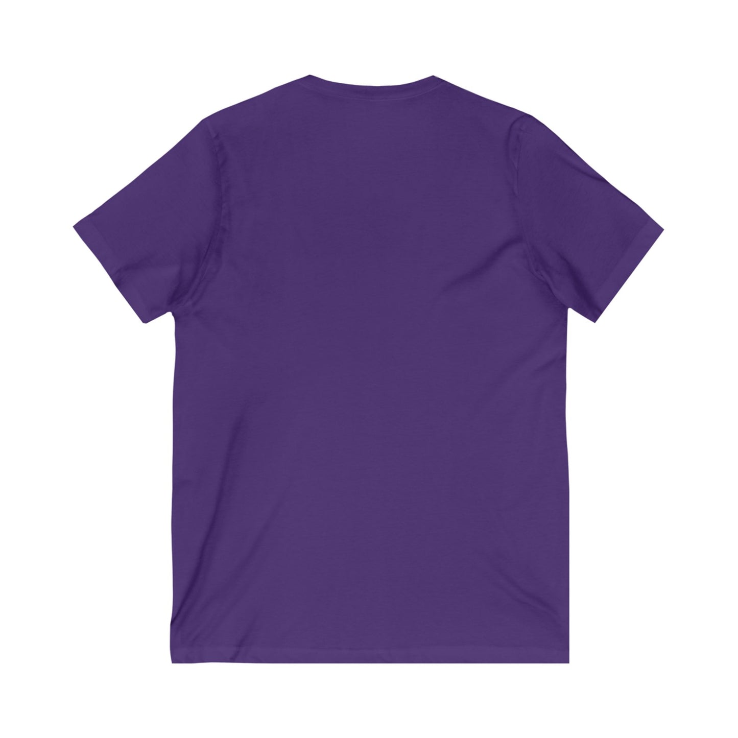 Civic Adult V-Neck T-Shirt