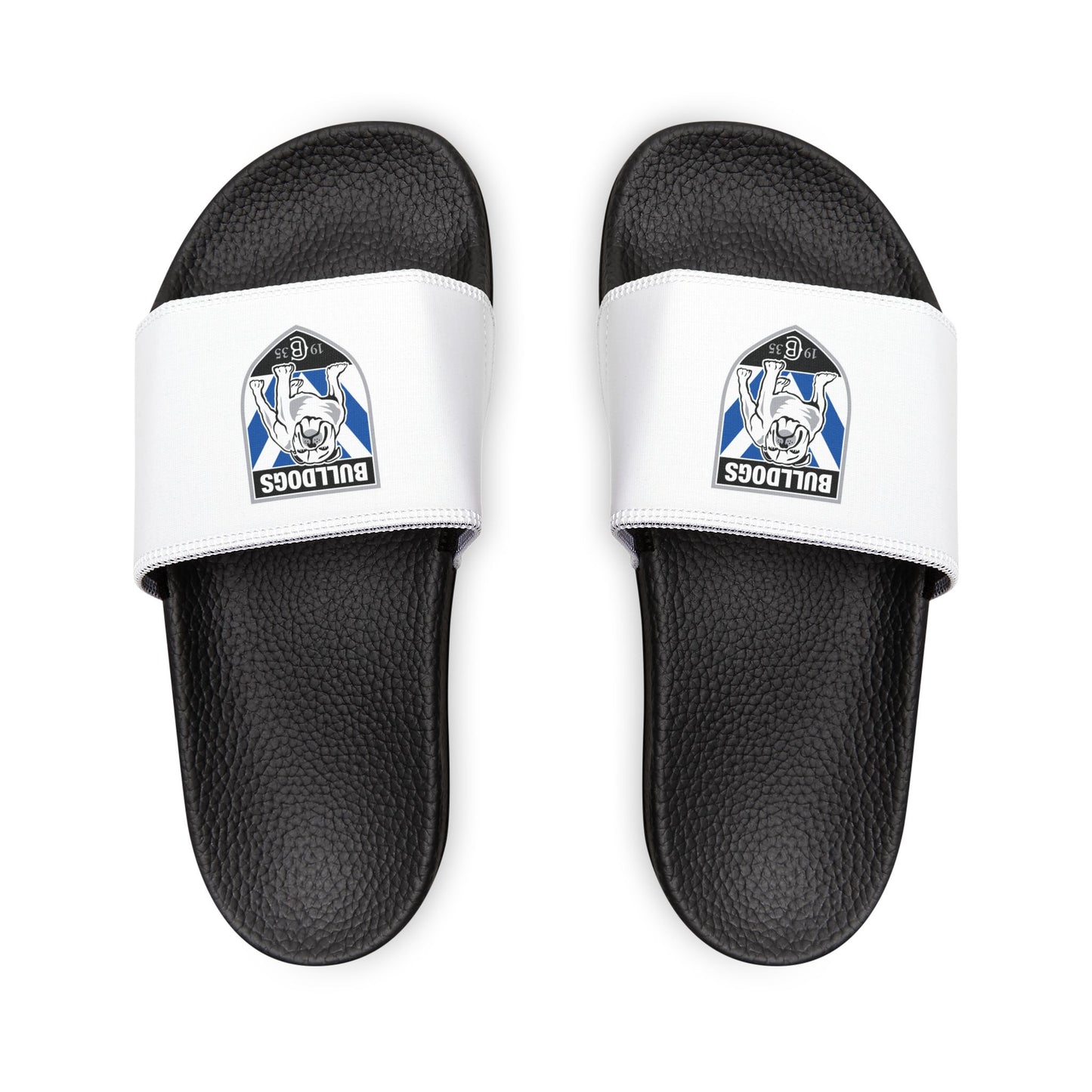 Canterbury Bankstown Bulldog Slides