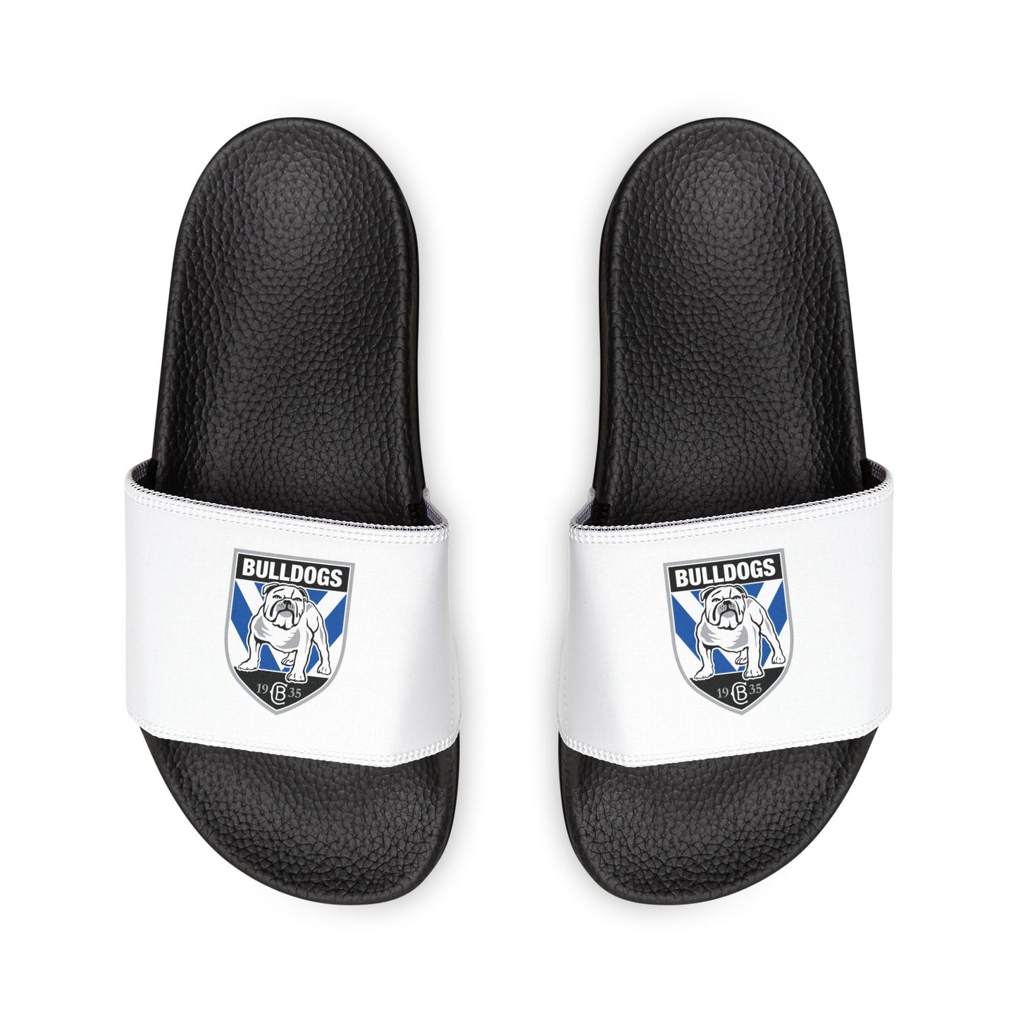 Canterbury Bankstown Bulldog Slides