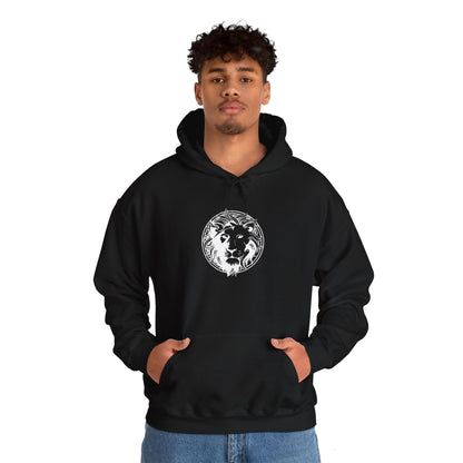 Versus Versace Adult Hoodie