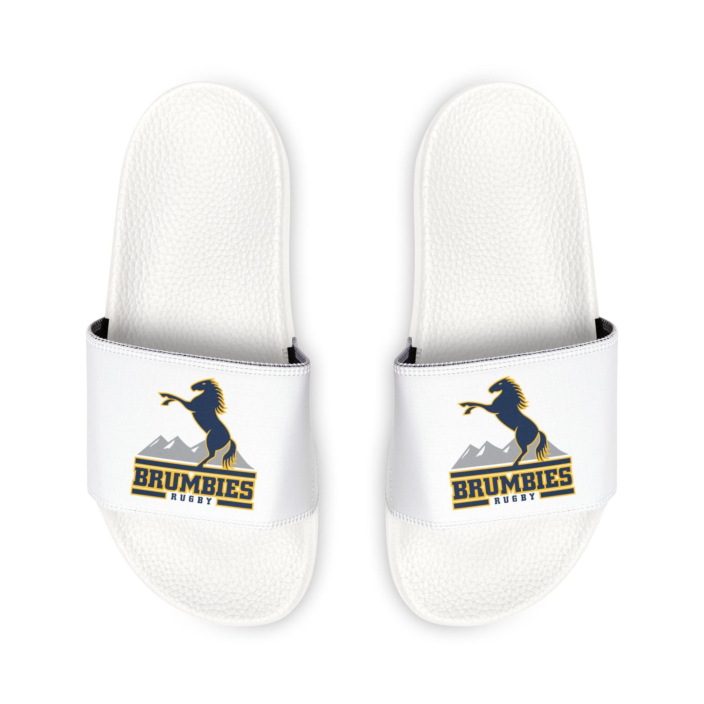 Brumbies Rugby Slides