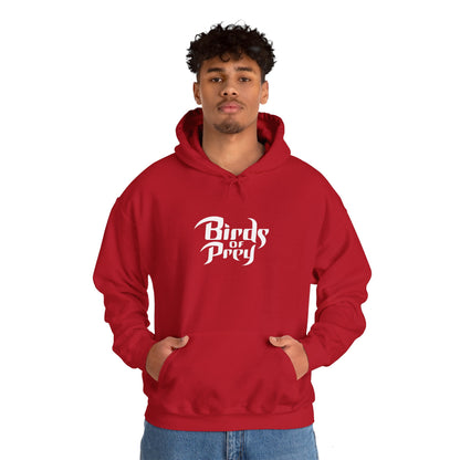 Birds Of Prey Adult Hoodie