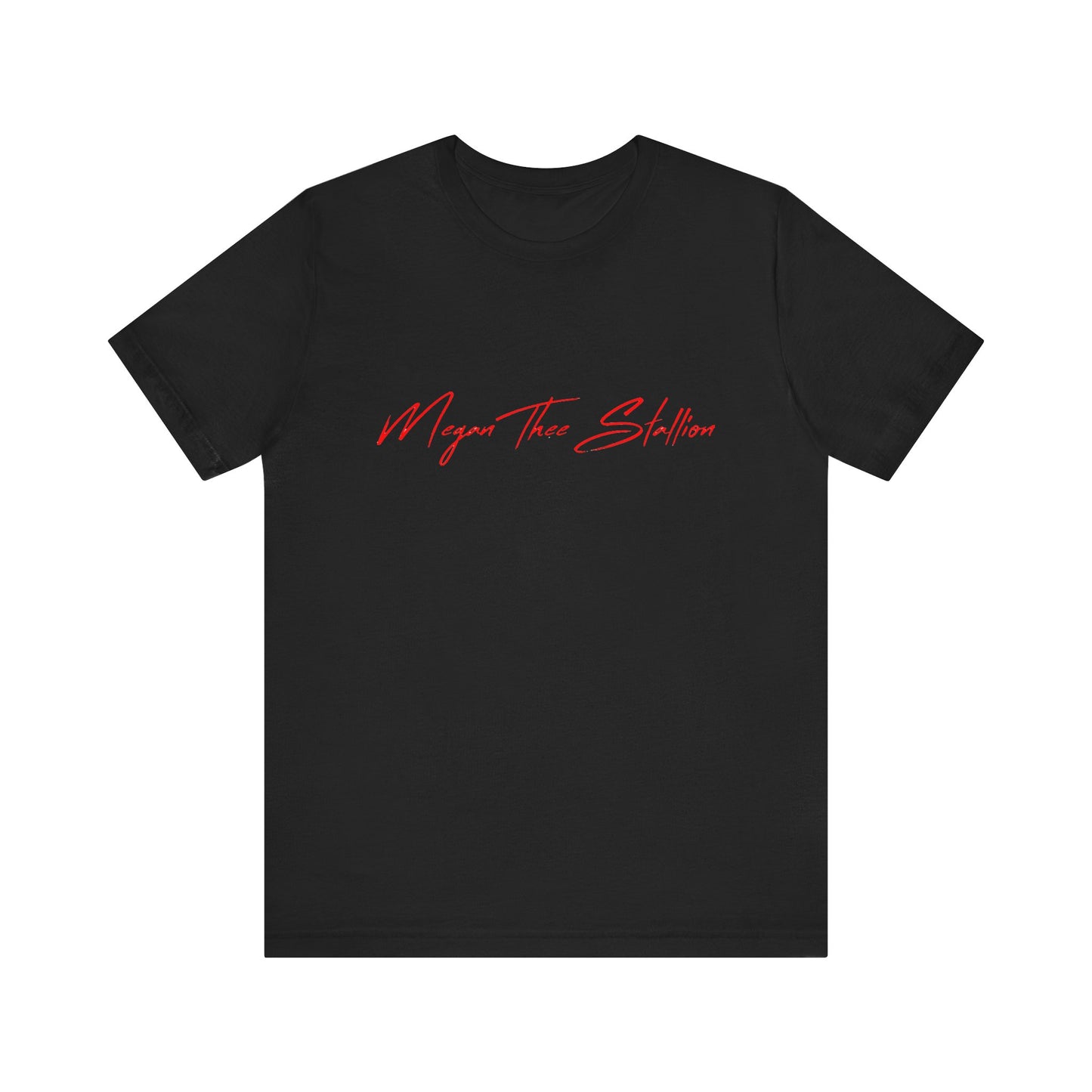 Megan Thee Stallion Adult T-Shirt